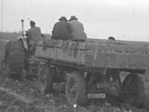 K-23038, aanhangwagen van J. Mol uit Wissenkerke, tijdens een oogstdemonstratie in 1951. Ook plaat K-21852 van H.C. de Kater uit Wissenkerke.
Bron: Zeeuws Archief, still uit film â€œZLM journaal 1951, deel 2â€, documentatie nr. 47, maker W.C. Sinke.
