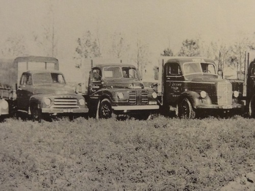 Vlnr Skoda N-57313, Opel NN-20-11, Austin ND-84-12(?), Mercedes K-17376, DAF K-23285, ca. 1952.
Bron: 75 Jaar Transport in Zeeland, deel 2, door Ko Koster, uitg. Drukkerij Zoeteweij, Yerseke 2000
