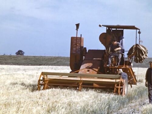 K-25082, Massey-Harris combine van M. Visser uit Colijnsplaat, in actie in 1953 na de watersnoodramp.
Bron: Zeeuws Archief, still uit film â€œZLM-journaal 1953â€, doc nr.55
